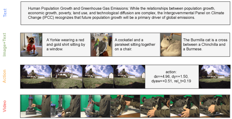 Ejemplos de los cuatro tipos de datos de entrenamiento: texto simple, pares imagen-texto, secuencias de video basadas en acciones y video sin procesar. | Imagen: Tong et al.